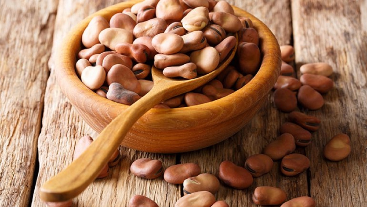 الفول البلدي